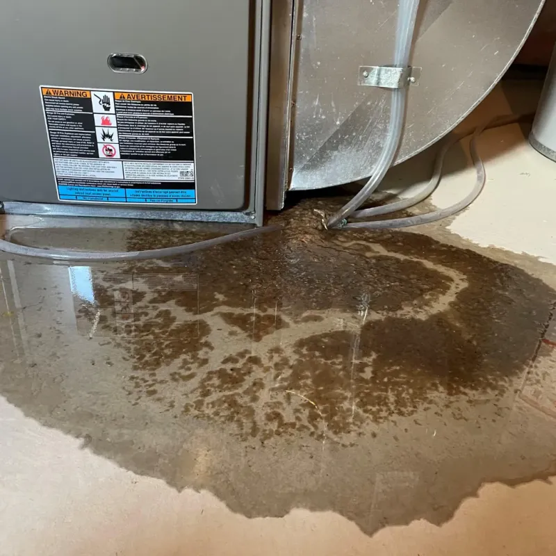 Appliance Leak Cleanup in Belmont, NY